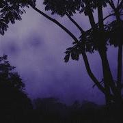 See You When The Sky Turns Purple