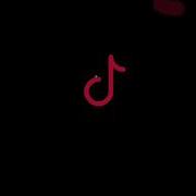 Tiktok Logo Design Python Coding Status Shorts Programming Pythoncoding Python