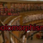 What Does Holomorphism Mean