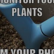 Track Your Plants From Your Phone With The Parrot Flower Power