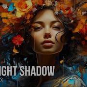 MIKE OLDFIELD Moonlight Shadow Laback Remix 2024