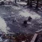 Ste Jumpin Into A Swamp