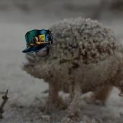 Angry Squeaking JoJo