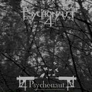 Psychonaut 4 Personal Forest By Nordisson Fan Video