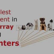 C Program To Find Smallest Element In An Array Using Pointers