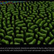 Simulation 3D Microstructure Of A Ternary Eutectic Directional Solidified Al Ag Cu Alloy