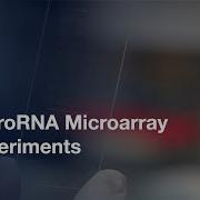 Performing Custom MicroRNA Microarray Experiments L Protocol Preview
