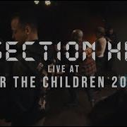 Section H8 FULL SET HD 12 14 18 Live Toxic Toast Records