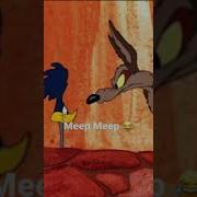 Roadrunner Meep Meep