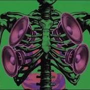 Syntex Bass In Bones