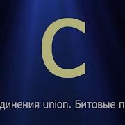 56 Объединения Union Битовые поля Язык C для начинающих