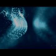 Trapcode Form Test 2