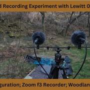 Field Recording With A Stereo Pair Of Lewitt 040 S And A Zoom F3 Recorder