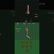 Hand Cricket Game