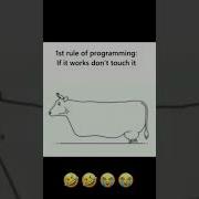 Fixing Bugs First Rule Of Programming Code Bug Softwaredeveloper