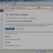 How To Upgrade Wordpress And Themes Automatically