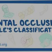 Dental Occlusion Angle S Classifications