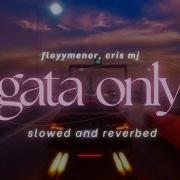 GATA ONLY SLOWED