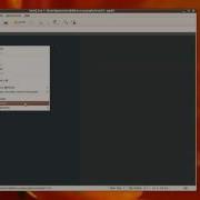 RabbitVCS Gedit Demo