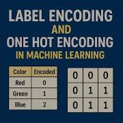 Label Encoding And One Hot Encoding In Machine Learning