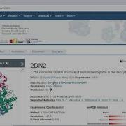 How To Download Protein Structure Tutorial Bioinformatics RCSB PDB