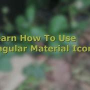 Angular Material Icon Mat Icon Example