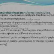 Polymorphic Transformation