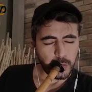 Mihriban Ney Cover