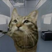 MeowSynth Virtual Insanity