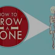 How To Grow A Bone Nina Tandon