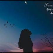 Gripin Beş Samet Koç Cover