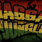 RAGGA JUNGLE V 2