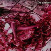 534 5 Nightcore We Are The Empty Antidote With Lyrics