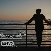 ม นค อภาพวนซ ำ WHY2