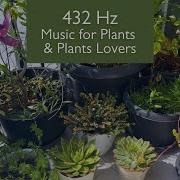 Music For Plants 432 Hz Frequency For Powerful Growing And Healing