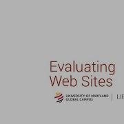 Evaluating Web Sites
