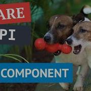 Can I Build Web Component Using The Web Share API