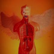 Maybe It S A Fantasy Johnny Goth Official Music Video