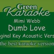 Mimi Webb Dumb Love Karaoke Acoustic Version