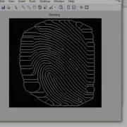 FINGERPRINT RECOGNITION SYSTEM USING MATLAB