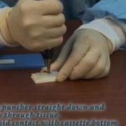 Manual Tissue MicroArrayer