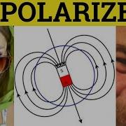 Polarized Polarise Polarized Meaning Polarization Examples Polarised Definition