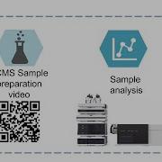 Plasma Samples Preparation For LCMS