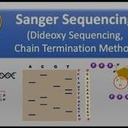 How Sanger Sequencing Works Classic Sanger Method