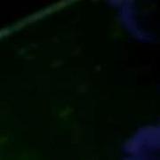 Multitouch Nasa World Wind TouchWorldWind