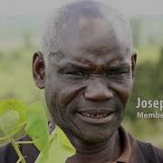 Reforestation In The South West Mau Forest Kenya