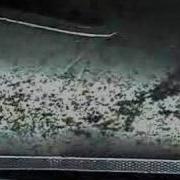 Particle Agglomeration In Microgravity