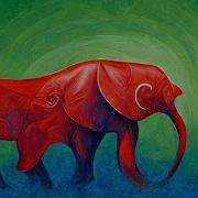 Mescaline Trip Report T Peruvianus Account