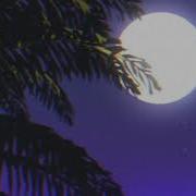 𝑩𝒆𝒏 𝑭𝒆𝒓𝒐 𝑩𝒂𝒃𝒂𝑭𝒊𝒏𝒈𝒐 𝑺𝒍𝒐𝒘𝒆𝒅 𝑹𝒆𝒗𝒆𝒓𝒃