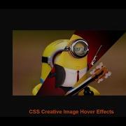 CSS Creative Image Hover Effects Using CSS Clip Path To Create Awesome Effects 100